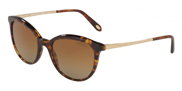 Tiffany & Co. TF4117B Sunglasses