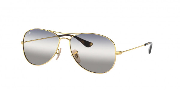 Ray-Ban RB3362 COCKPIT Sunglasses, 001/GF ARISTA (GOLD)