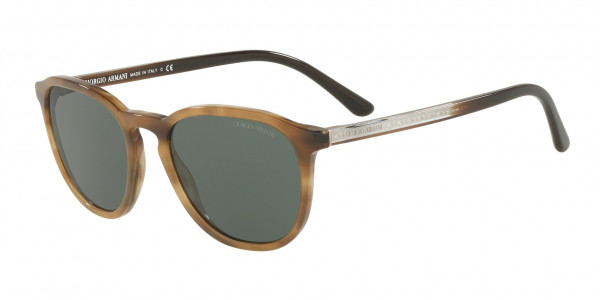 Giorgio Armani AR8104 Sunglasses, 561771 STRIPED BROWN (BROWN)
