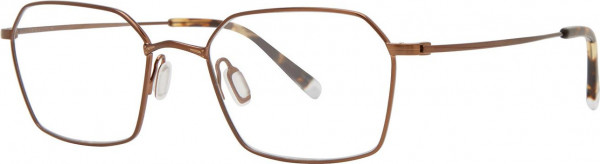 Paradigm 19-02 Eyeglasses, Bronze