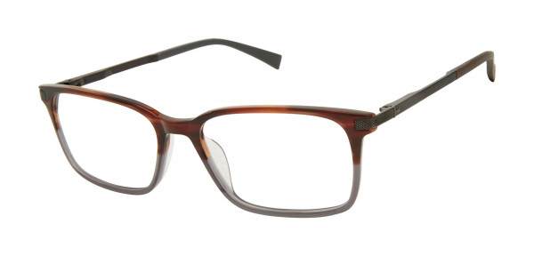 Ted Baker TFM008 Eyeglasses, Tortoise Grey (TOR)