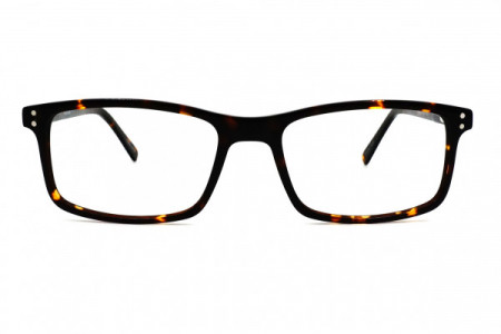Toscani T2083 LIMITED STOCK Eyeglasses, Demi Amber