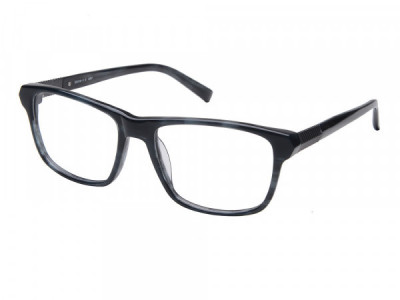 Amadeus A981 Eyeglasses, Gray