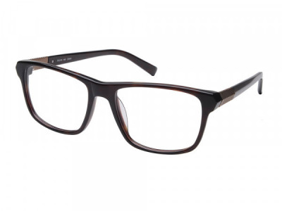 Amadeus A981 Eyeglasses, Dark Brown Tort
