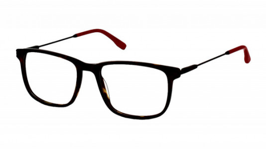 New Balance NB 531 Eyeglasses, 2-TORTOISE
