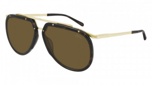 Brioni BR0084S Sunglasses, 002 - HAVANA with GOLD temples and BROWN lenses