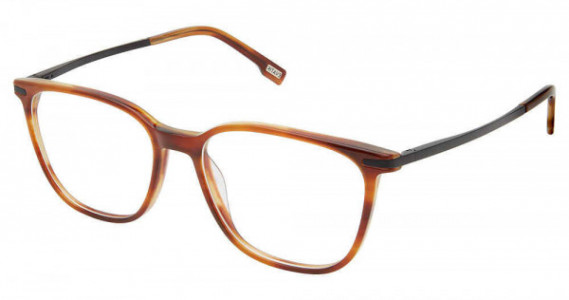 Evatik E-9221 Eyeglasses, S302-COGNAC BLACK