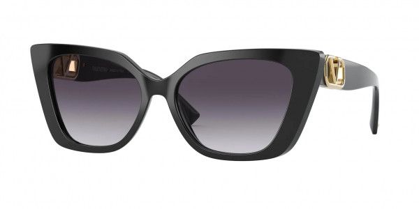 Valentino VA4073F Sunglasses, 50018G BLACK (BLACK)