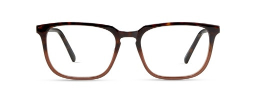 Modo 6543 Eyeglasses, TORTOISE TO BROWN
