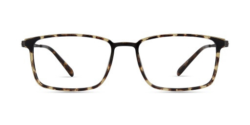 Modo 7021 Eyeglasses, SHINY TORTOISE