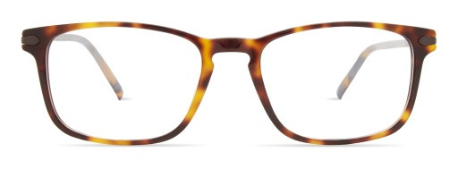 Modo SNYDER Eyeglasses, TORTOISE
