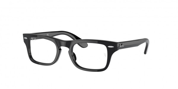 Ray-Ban Junior RY9083V JUNIOR BURBANK Eyeglasses, 3542 JUNIOR BURBANK BLACK (BLACK)