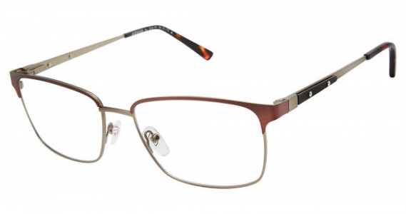 XXL AVENGER Eyeglasses, BROWN