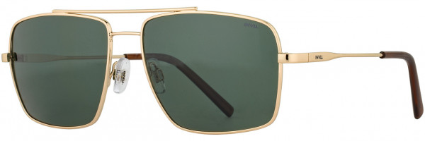 INVU INVU Sunwear 231 Sunglasses, Gold