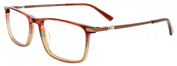 EasyClip EC597 Eyeglasses, 010 - Brown Gradient/Brown