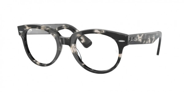 Ray-Ban Optical RX2199V Eyeglasses