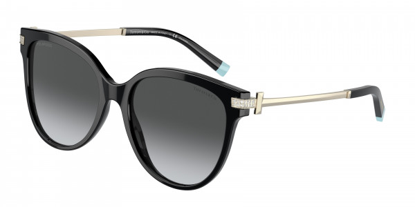 Tiffany & Co. TF4193B Sunglasses, 8001T3 BLACK POLAR GREY GRADIENT (BLACK)