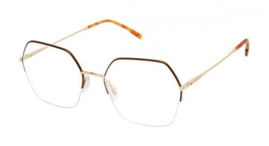 MOLESKINE MO 2154 Eyeglasses, 79-GOLD/BROWN