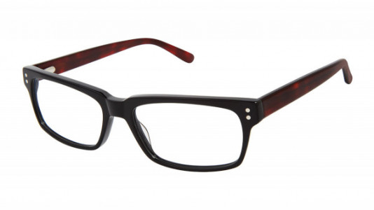 Perry Ellis PE 461 Eyeglasses, 2-BLACK/TORTOISE