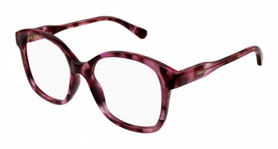 Chloé CC0013O Eyeglasses, 006 - HAVANA with TRANSPARENT lenses