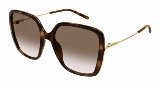 Chloé CH0173S Sunglasses, 002 - HAVANA with GOLD temples and BROWN lenses