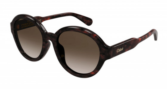 Chloé CH0156SK Sunglasses, 002 - HAVANA with BROWN lenses