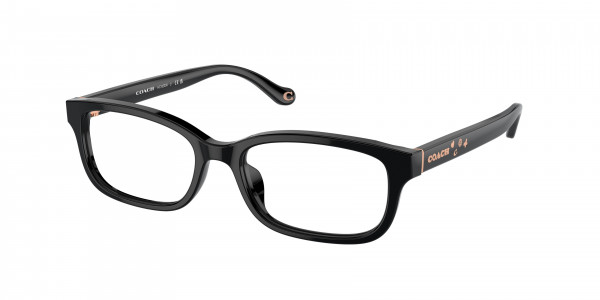 Coach HC6233U Eyeglasses, 5002 BLACK