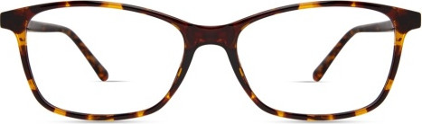 ECO by Modo BROOK Eyeglasses, YELLOW TORTOISE