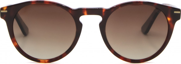 Di Valdi DV0191 Sunglasses, 90