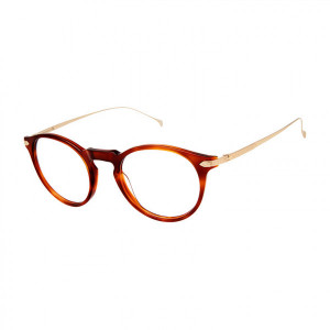 Minamoto 31032 Eyeglasses