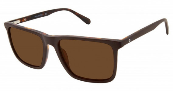 Sperry Top-Sider SOUTHPORT Sperry Sunglasses, C03 OLIVE HORN