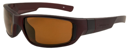 Switch Vision B7 Sports Eyewear