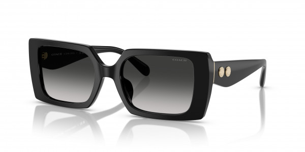 Coach HC8409U CW224 Sunglasses, 50023C CW224 BLACK GREY GRADIENT (BLACK)