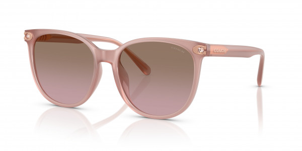 Coach HC8414BD CW428 Sunglasses