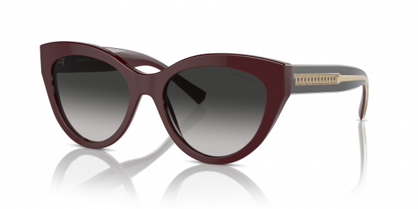 Tiffany & Co. TF4220 Sunglasses