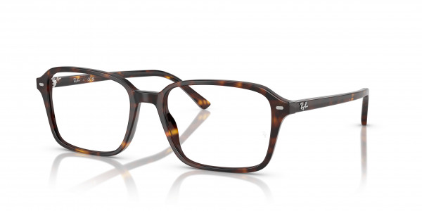 Ray-Ban Optical RX5431 RAIMOND Eyeglasses