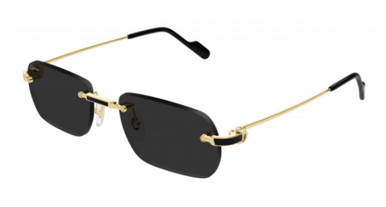 Cartier CT0498S Sunglasses