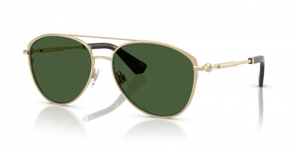 Burberry BE3157 Sunglasses