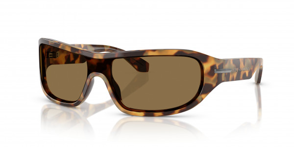 Dolce & Gabbana DG4486 Sunglasses