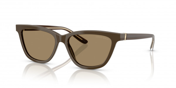 Giorgio Armani AR8221F Sunglasses