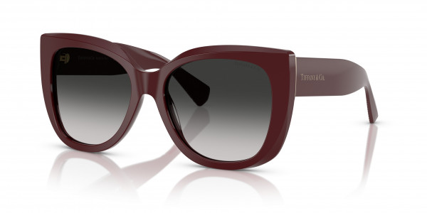 Tiffany & Co. TF4229F Sunglasses