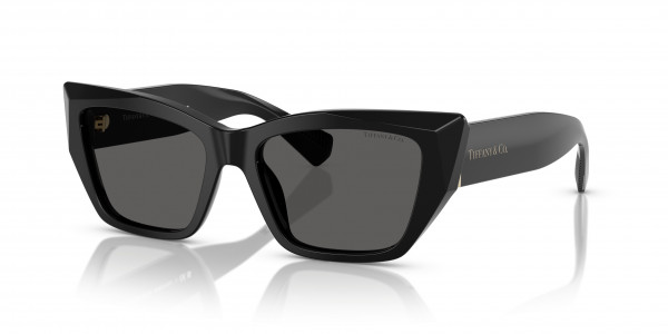 Tiffany & Co. TF4230F Sunglasses