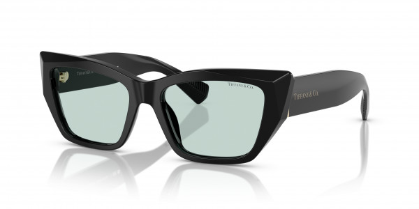 Tiffany & Co. TF4230 Sunglasses