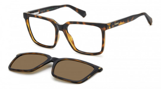 Polaroid Core PLD D556/C Eyeglasses