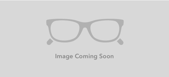 TAG Heuer TRENDS RIMLESS 8104 Eyeglasses, Yellow tortoise Temples (002)