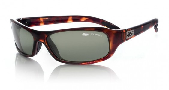 Bolle Fang Sunglasses, Dark Tortoise / Polarized Axis®